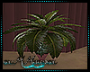 Animated Plant