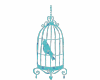 6v3| Bird in the Cage 1