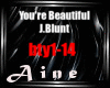 You're Beautiful-J.Blunt