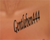 BBJ Gentleben55 chest 