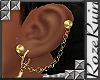 R| Dripping Gold Earings