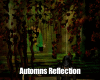 Automne Reflection PRoom
