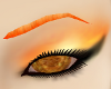 Fire Brows