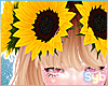 Sunflower Crown x