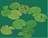 T- Lotus Leaves