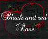 black and red rose's