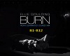 Ellie Goulding-Burn