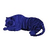 blue pose tiger