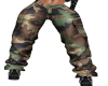 Sassy Camo Cargo pants