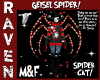 GEISEL SPIDER CAT!