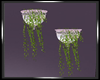 [SD] Sconces N Vines