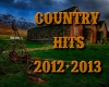 Country Music Player 