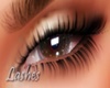 Allie Black Lashes