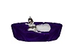 purple furry bed