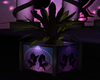 Deja Vu Plant 3