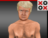 Trump Skin