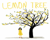 Lemon trees Dani