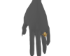 𝗌 Gold Ring LF