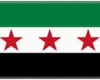 Syria Revolution flag