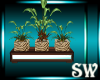 [SW] Serengeti Plants