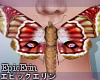[E]*Giant Moth V4*