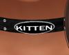 !J! Kitten Collar