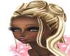 D3~Long  Updo Highlites