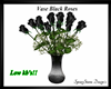 Vase of Black Roses