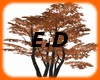 E.D TREE HALLOWEEN