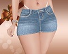 RL Jean Skirt Apple