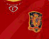 SPAIN CHAMPIONS TOP