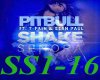 Pitbull Shake Senora RMX