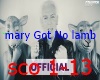 mary  got no lamb