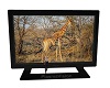 (DL) Safari TV