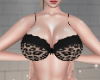 KTN Leo Black Lace Bra F