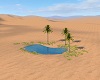 Oasis in the desert