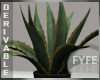 F | DERIVABLE Plant