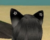 Shino Nyeusi Ears