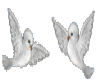 DOVES