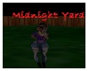 Midnight Yard
