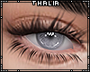 v. Thalia Lashes LY