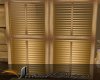 UNTIMELY SHUTTERS