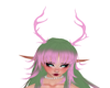 lotus horns pink