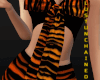 Top tiger
