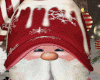 Christmas Gnome