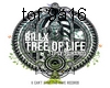 billx treeof life