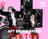 APT Bruno&Rose vr. F