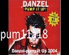 Danzel pump p2