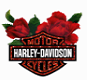 Harley Davidson Motor