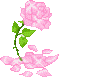 {*Pretty Pink Rose*}